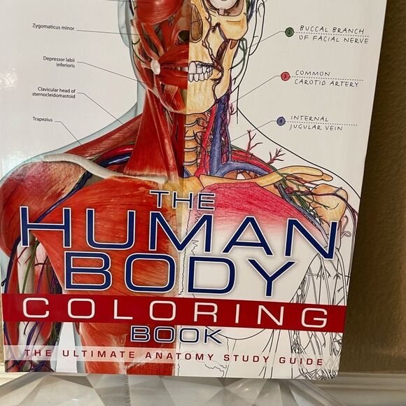The Human Body Coloring Book - Picture 2 of 14